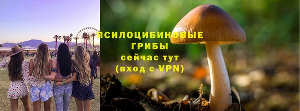 молекула духа Наволоки