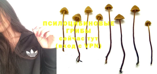 крисы Нефтегорск