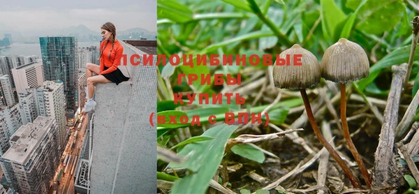 jwh Нея