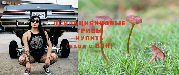 jwh Нея