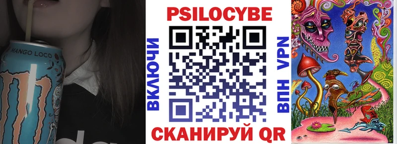omg tor  Менделеевск  Галлюциногенные грибы Psilocybe 