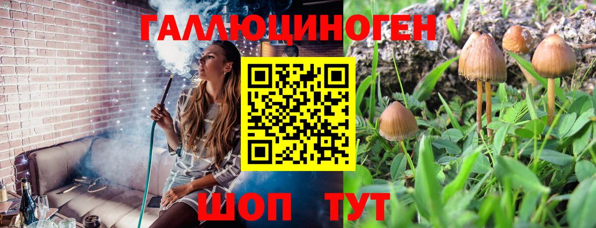 Галлюциногенные грибы GOLDEN TEACHER  цена наркотик  Менделеевск 