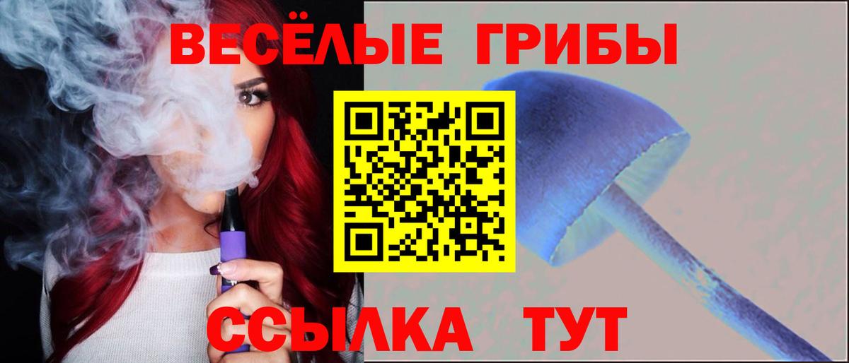 Галлюциногенные грибы Cubensis  Псилоцибиновые грибы Cubensis  Менделеевск  Вход с VPN 
