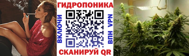 Бошки Шишки ГИДРОПОН  где купить наркоту  Менделеевск 